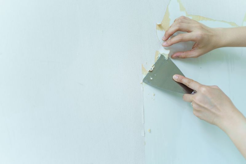 Cabinet Door Stripping